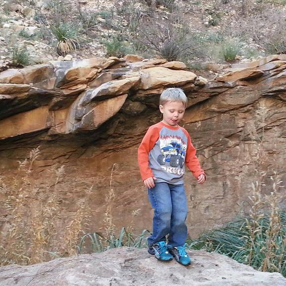 Meet your Posher, Joey - Picture 1 of 1